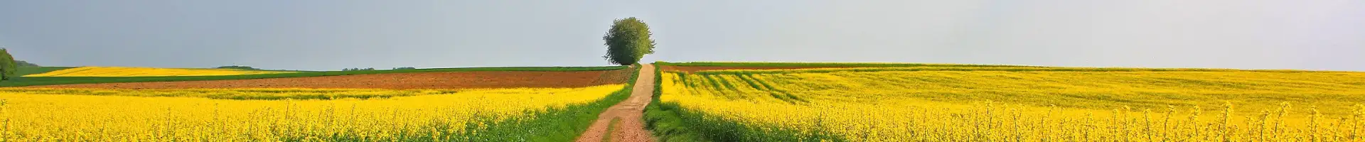 Logo baner sklep.korbanek.pl